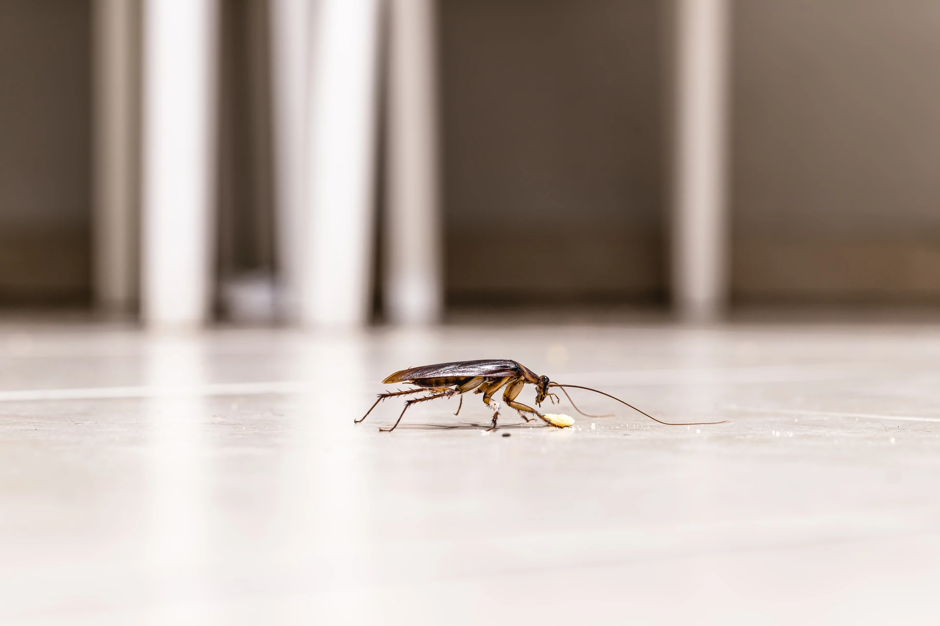 Une mère pose un désinfectant à la main ou un spray anti-moustique sur la main de son enfant
