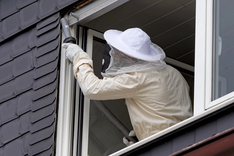 Scène d'intérieur présentant un agencement d'équipements de protection individuelle et outils de construction sur surface plane